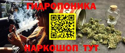 стафф Бугуруслан