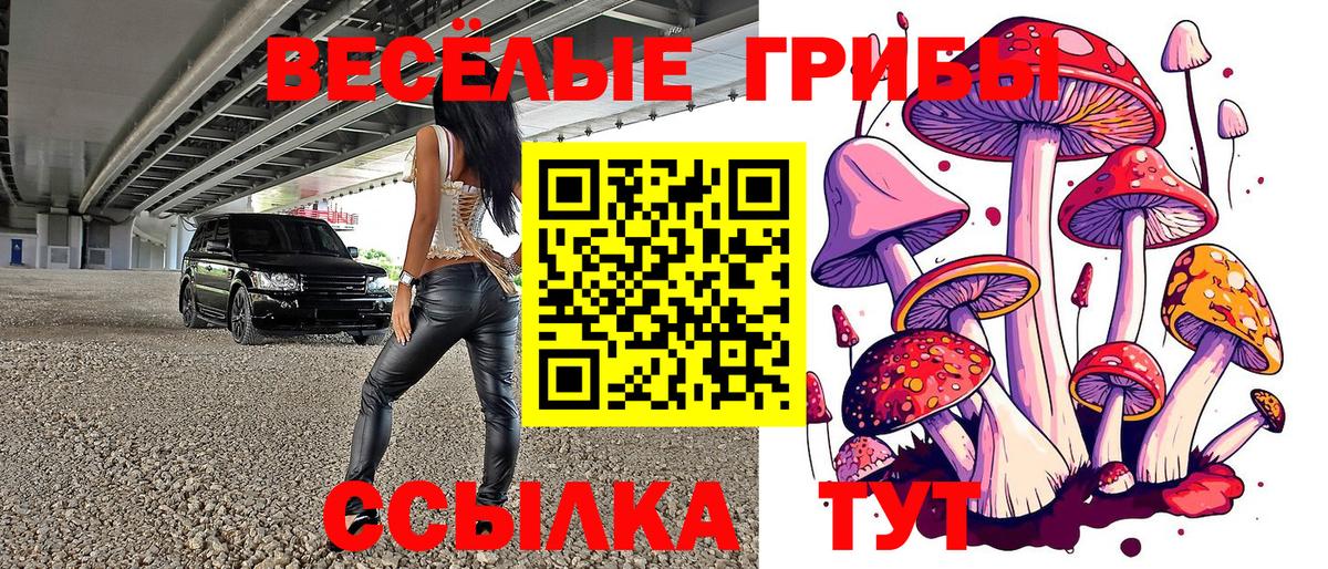 Галлюциногенные грибы мухоморы  Псилоцибиновые грибы мухоморы  Вход с VPN  Геленджик 